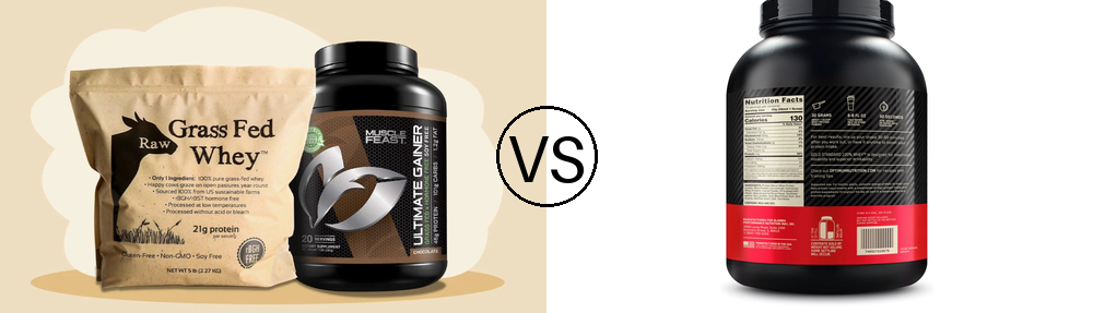 whey protein isolate vs concentrate